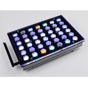 Atlantik iCon Compact ORPHEK