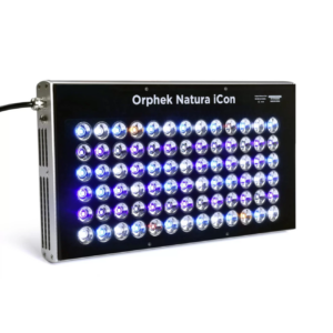 Natura iCon Reef ORPHEK