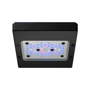 Pantalla Radion XR15 G6 BLUE, Ecotech Marine